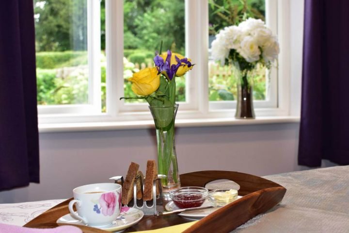 Activities for Care Residents